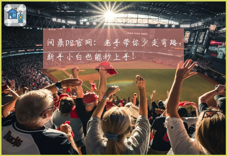 问鼎pg官网：老手带你少走弯路，新手小白也能秒上手！