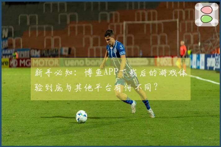 新手必知：博鱼APP下载后的游戏体验到底与其他平台有何不同？