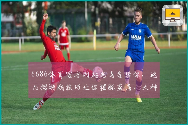 6686体育官方网站老鸟告诉你，这几招游戏技巧让你摆脱菜鸟，大神之路就此开启